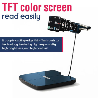 Metrolex | CF-577 - Professional Body Composition Scale