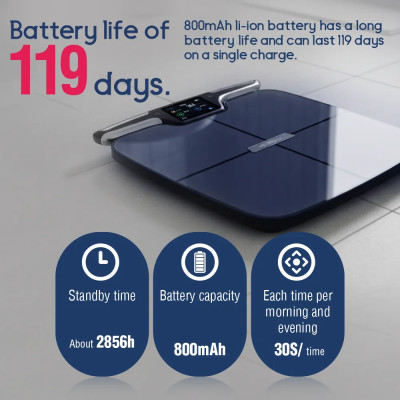 Metrolex | CF-577 - Balance corporelle professionnelle